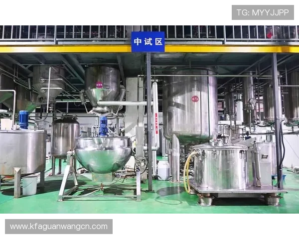 深入解读凯发集团旗下公司名单，分析其在娱乐和科技创新领域的布局策略
